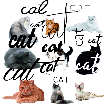 Different Cat  illustration.のイラスト素材
