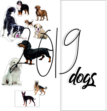 Poster for year 2019 with various dogsのイラスト素材