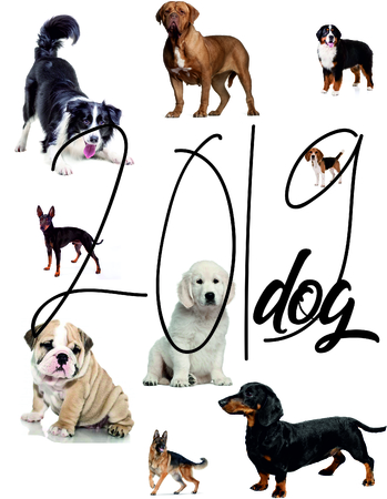 Dog poster for 2019 yearのイラスト素材
