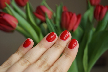 red color styleの写真素材