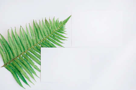 Summer wedding stationery mock-up scene. Blank horizontal greeting card and fern isolated on white table background.の写真素材