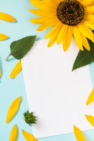 Yellow sunflower, petals and leaves on light blue background with blank white card. Floral composition, flat lay, top view, minimal romantic style.の写真素材