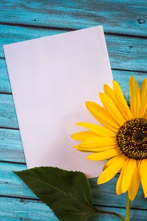 Yellow sunflower on light blue wood background with blank white card. Floral composition, flat lay, top view, minimal romantic style.の写真素材