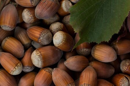 Hazelnuts. Food background. Closeup. Healthy eating concept.の写真素材