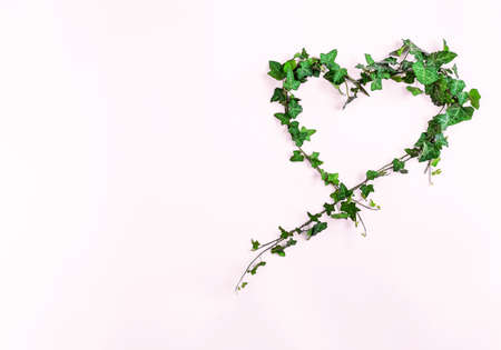 Creative layout made of  branches and leaves of ivy plant on light background with copy space. Flat lay. Heart shape. Love and live concept, minimal style.の写真素材