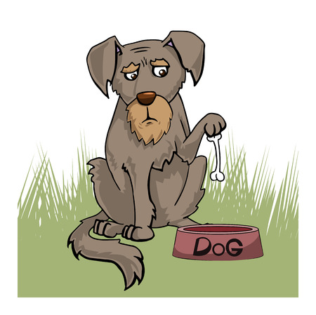 Sad and disappointed Brown Puppy Dog, looking at small boneのイラスト素材