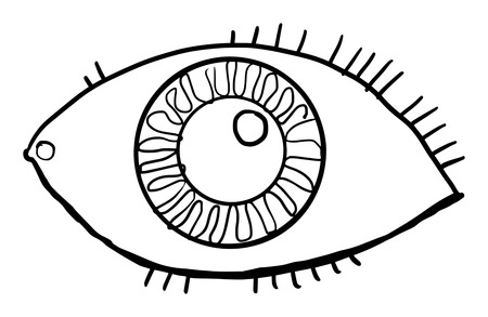 Hand drawn, eye, vector illustration, isolated on whiteのイラスト素材