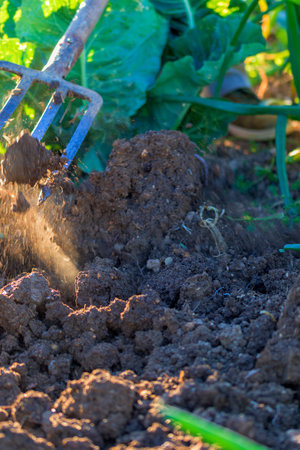 A farmer uses a sieve to prepare the land for spring planting. The foot is seen helping to bury the sieveの写真素材