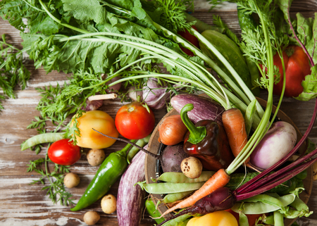 Assortment of raw fresh vegetables in basket from garden on rustic wooden background copy space