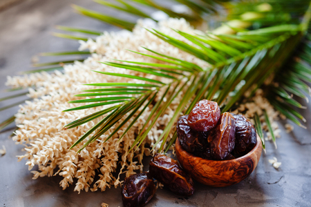 Plate of raw organic medjool dates with leaves and flowers of date palmの写真素材