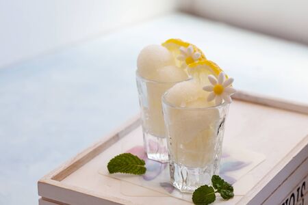 Fresh lemon sorbet, summer dessert, ice cream with mintの写真素材