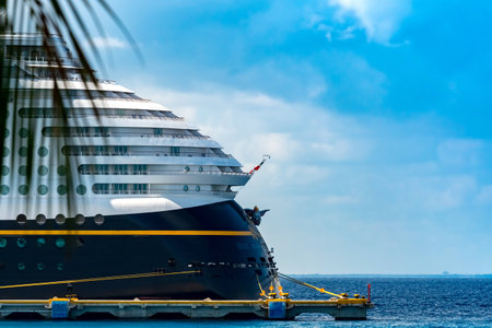 Cruise ship in port of call behind palm leavesの写真素材