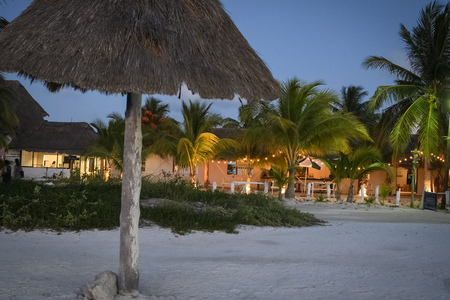 Beach at dawn with palapa, palm trees and building with yellow lightsの写真素材