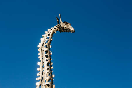 Warsaw, Poland - March 18, 2020: Head of Metal Giraffe Sculpture in Praga Park in Warsaw. High quality photoのeditorial素材