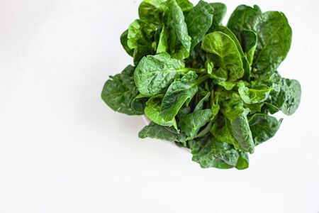 Fresh spinach bundle isolated on white top view. Vegetable banner or heading design.の写真素材