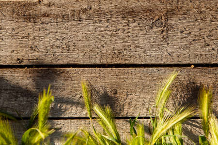 Vintage wooden texture of board. Wooden brown surface. Empty plank wooden wall texture background. Rustic pattern of backdrop shabby wooden brown boards.の写真素材