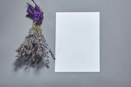 Lavender blossom with white paper sheet mockup on gray background. White paper empty blank, dried flowers on gray table. Invitation card mockup.Flat lay, top view, copy space, mockupの写真素材