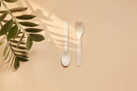 Wooden spoon, fork, paper cups on beige background. Disposable tableware made of natural materials. The concept of zero waste, sustainable lifestyle. Eco-friendly disposable tablewareの写真素材