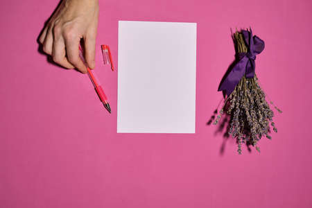 Overhead shot of female hands writing with pen over empty white sheet of paper on pink background
