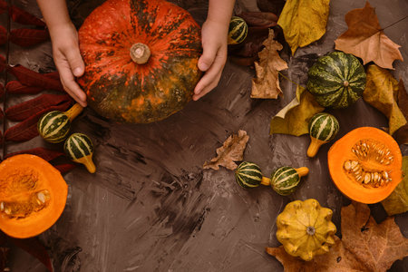 Babys hands hold the pumpkin. Autumn flat lay with leaves, pumpkins, figs and cones on light gray background.の写真素材