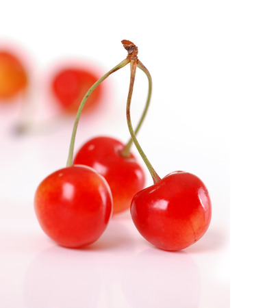 Red ripe sweet cherry, a studio photoの写真素材