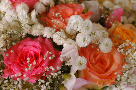 Bouquet of beautiful multicolored roses, a studio photo, close-up.の写真素材
