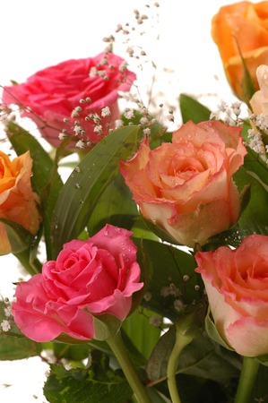 Bouquet of beautiful multicolored roses, a studio photoの写真素材