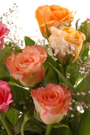 Bouquet of beautiful multicolored roses, a studio photoの写真素材