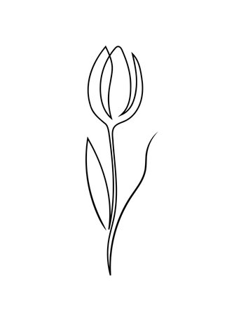 One line hand drawn minimalism style tulip design.のイラスト素材