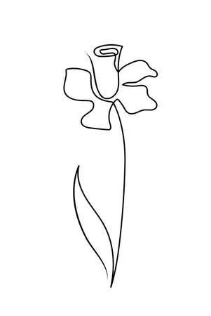 One line hand drawn minimalism style narcissus design.のイラスト素材