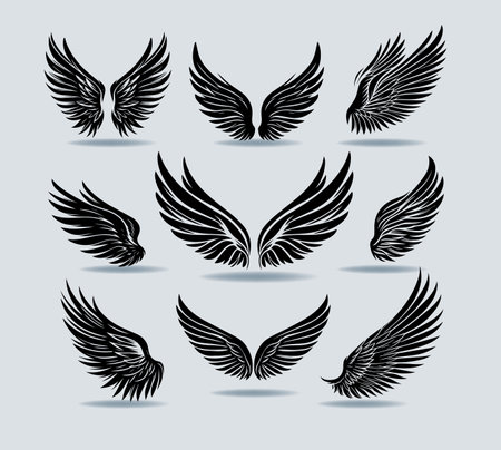 A collection of modern vector wingsのイラスト素材