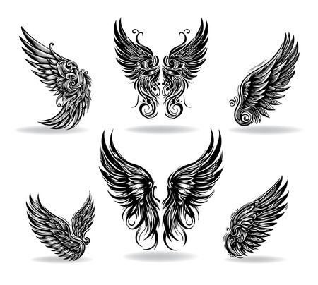 Collection of vector wings the style of engravingのイラスト素材