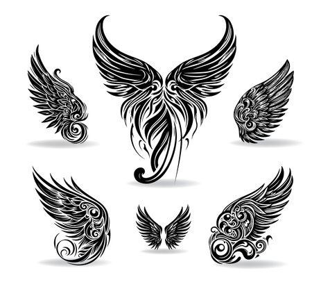 Collection of vector wings the style of engravingのイラスト素材