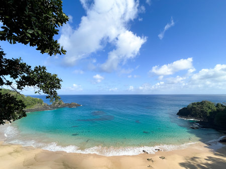 top view of the beach with green waters and blue skyの写真素材