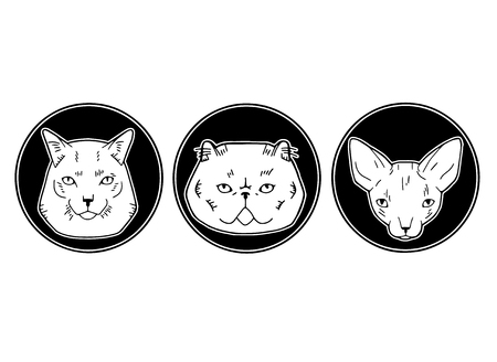Cute vector illustration of cat breeds, pet animal set portrait in a cartoon styleのイラスト素材