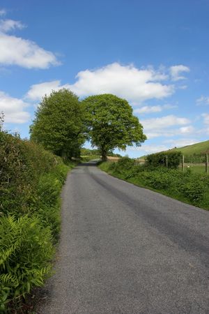 Rural road with hedgerows and trees on either side and a blue sky with clouds.の写真素材