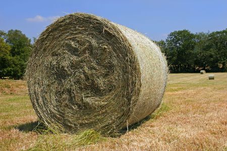 Organic hay bale standing in a field in summerの写真素材