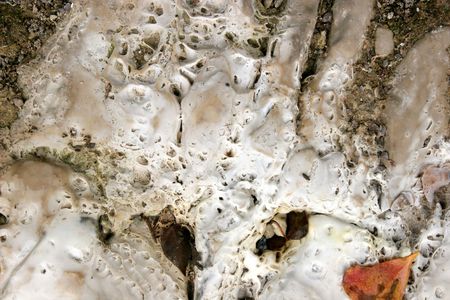 Limestone deposits, formed by direct crystallization from water. の写真素材