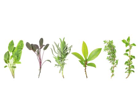 Organic leaf herb selection of variegated sage, purple sage, lavender, bay,  common thyme and oregano, over white background. From left to right.の写真素材