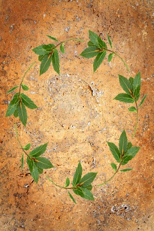 Bay leaf circular garland forming a border over golden grunge background.の写真素材