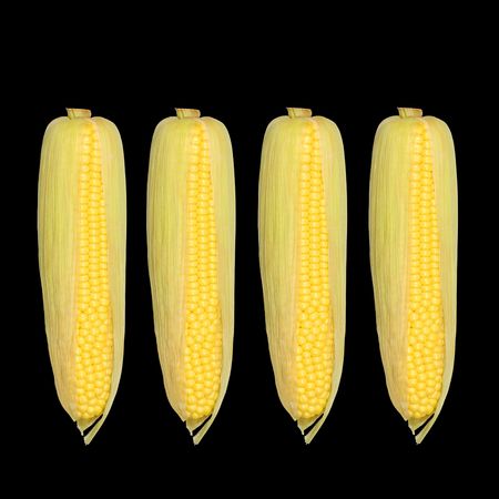 Five sweetcorn in upright absract design over black background.の写真素材