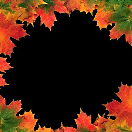 Maple leaf abstract design forming a border over black background.の写真素材