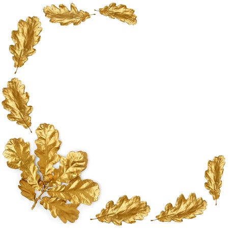 Golden oak leaf spray and acorn with individual leaves forming an abstract border, over white background.の写真素材
