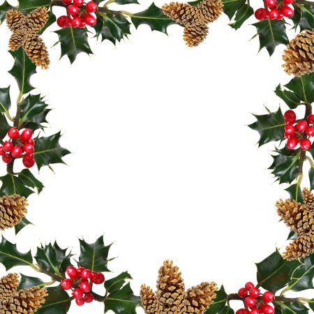 Holly leaf sprigs with red berries and sparkling golden pine cones forming an abstract border over white background.の写真素材