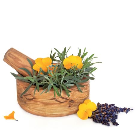  Lavender herb leaf and flower sprigs and viola flowers with an olive wood mortar with pestle, isolated over white background.の写真素材