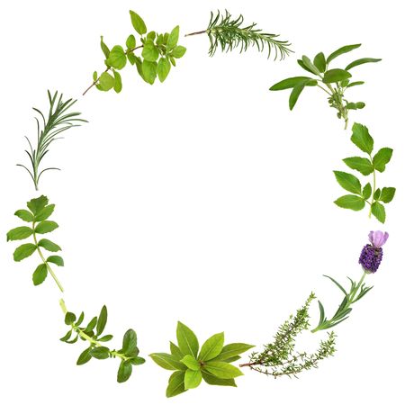  Medicinal and culinary herbs in an abstract circular design, over white background.の写真素材