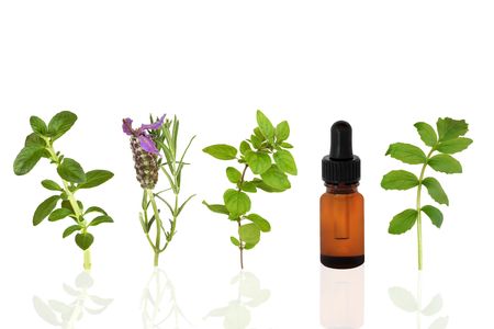Herb leaf selection of peppermint, lavender, oregano and valerian with an aromatherapy essential oil glass dropper bottle,  over white background.の写真素材