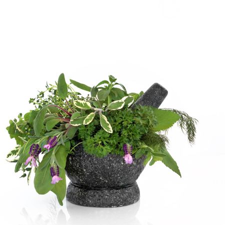  Herb leaf and flower selection in a granite mortar with pestle over white background.の写真素材