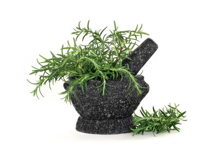 Fresh rosemary herb leaves in a granite mortar and pestle, over white background.の写真素材