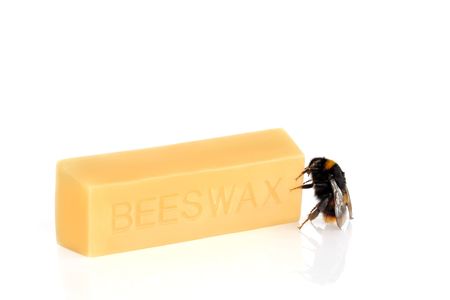  Bumblebee next to a block of natural beeswax, over white background.の写真素材